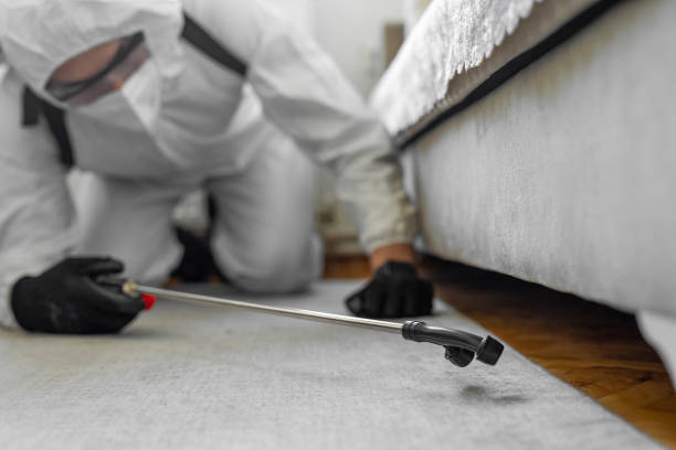 Professional Termite Control technician working in Washington, MO