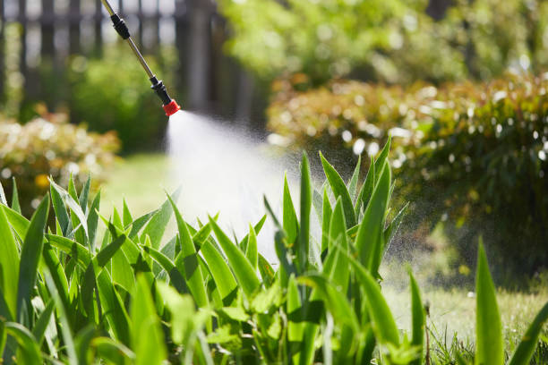 24/7 Emergency Termite Control experts in Washington, MO