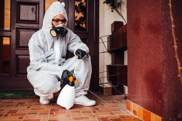 Reliable Termite Control contractor in Washington, MO by Nex Pest Control